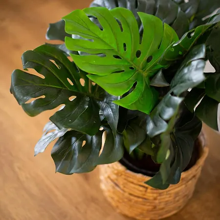 Apartment Cotillo Beachfront Escape La Oliva